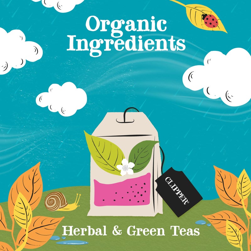Clipper Tea: Organic Herbal & Green Tea Set, Gift Box - Tea Selection & Sampler with 5 Flavors Including Lemon, Ginger, and Bedtime Teas - Assorted Tea Bags in Colorful Tea Box, 45 Unbleached Tea Bags - Image 3